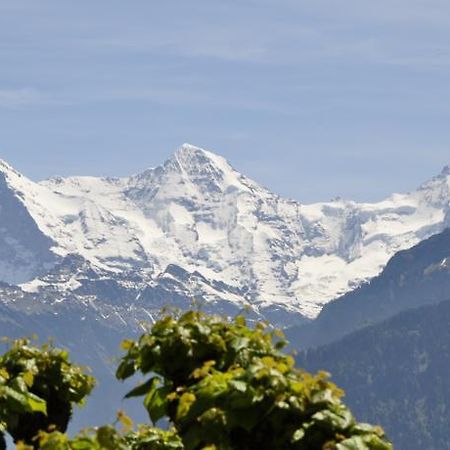 Hotel Schonegg Jungfrau エクステリア 写真